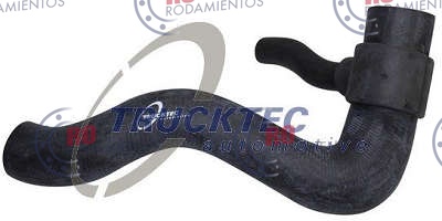 RO911944 - imagen 1
