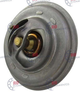 79313 - imagen 2