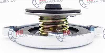 RO913000 - imagen 1