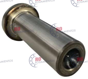 RO913687 - imagen 1