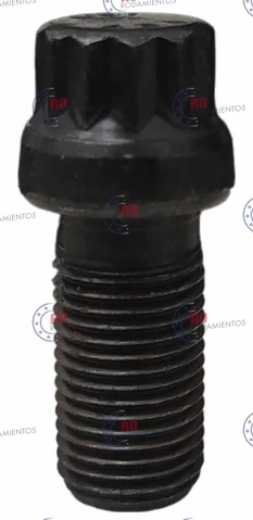 RO914836 - imagen 1
