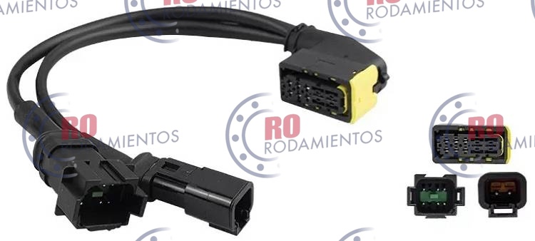 RO915079 - imagen 2