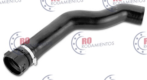 RO915129 - imagen del producto