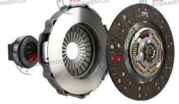 RO92541 - imagen 2