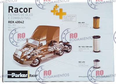 RO94859 - imagen 2