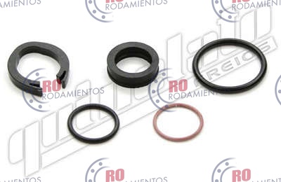 RO95505 - imagen del producto