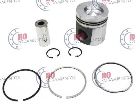RO96579 - imagen del producto