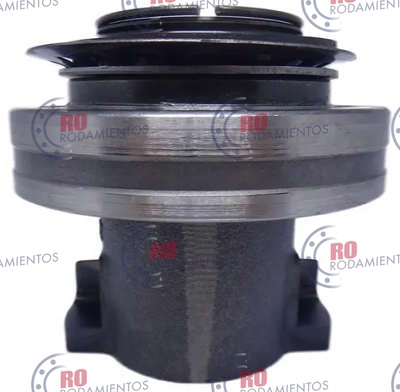 RO96628 - imagen 1