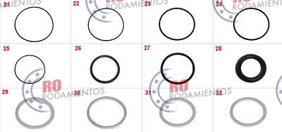RO96755 - imagen 1