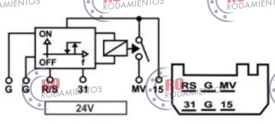 RO97302 - imagen 2