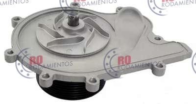 RO98065 - imagen 2