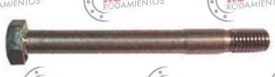 RO98719 - imagen del producto