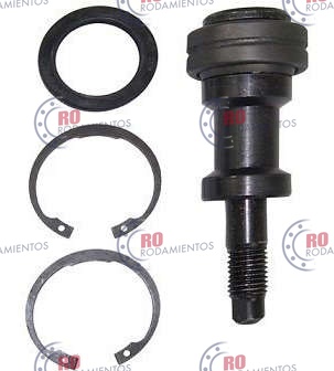 RO98861 - imagen del producto