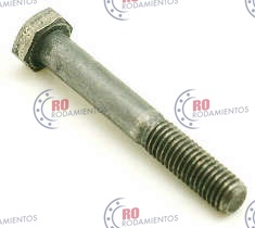 RO99399 - imagen del producto