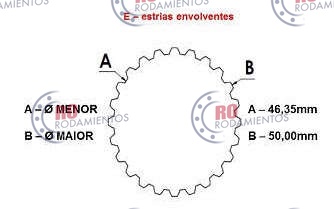 RO99643 - imagen 3