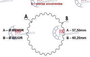 RO99644 - imagen 3