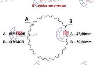 RO99648 - imagen 3