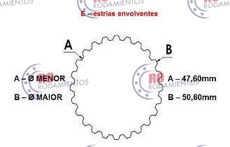 RO99653 - imagen 3