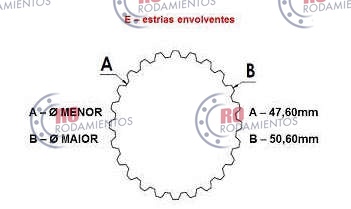 RO99654 - imagen 3