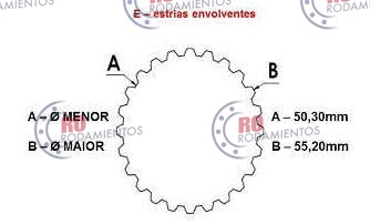 RO99656 - imagen 3
