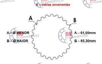 RO99658 - imagen 3