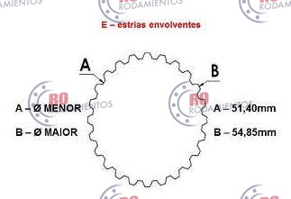 RO99663 - imagen 3