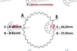 RO99667 - imagen 3