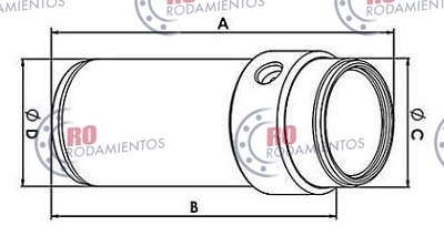 RO99668 - imagen 2