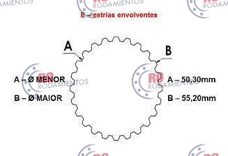 RO99669 - imagen 3