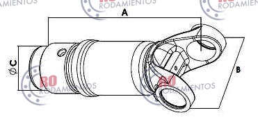 RO99670 - imagen 2