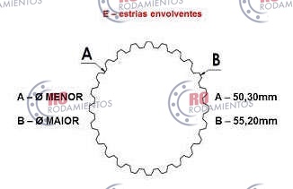 RO99674 - imagen 3