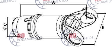 RO99675 - imagen 2