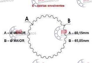 RO99676 - imagen 3