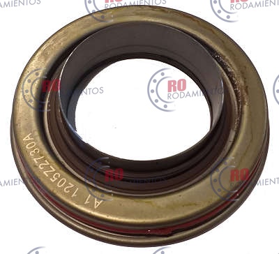 RO99739 - imagen 1